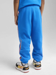 Spodnie dresowe chłopięce Puma x Hot Wheels Sweatpants Tr 63007258 104 cm Niebieskie (4067983573491) - obraz 2