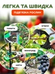 Степлер садовый для подвязки растений винограда деревьев UnA модернизированный тапенер пистолет для подвязки томатов комплект для дачи черный с зеленым + набор лент 11 рулонов + 10100 скоб + лезвие (222.0002) - изображение 6