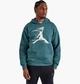 Худи Air Jordan Mvp Fleece Pullover Hoodie Blue FV7227-366 XL - изображение 1