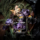 Набір мініатюр для жінок Bibliotheque de Parfum Discovery Парфумована вода I Am Free 2 мл + I Am Loved 2 мл + I Am Daring 2 мл + I Am Tender 2 мл + I Am Worthy 2 мл + I Am A Dreamer 2 мл + I Am Sensual 2 мл + I Am A Winner 2 мл (4820271430728) - зображення 10