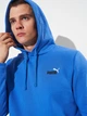 Худи утепленное мужское Puma Essentials Graphics 68471813 2XL Mountain Blue (4069157437813) - изображение 4