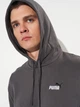 Худи утепленное мужское Puma Essentials Graphics 68471844 M Dusky Gray (4069157446532) - изображение 4