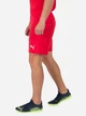 Спортивные шорты мужские Puma teamRise Short 704942-01 XL Красные (4063699210620) - изображение 3