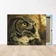 Алмазная мозаика на подрамнике ColorArt 40x50 Сова SPP110 + Подарок лак для покрытия - изображение 3