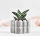 Бетонное кашпо для кактусов и суккулентов (Серый) GREYMIX Concrete Art - изображение 5