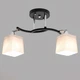 Люстра потолочная Light House SR-20291/2 BK+CR L570*W140*H220 E27 черная + хром, плафон белый - изображение 2