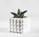 Бетонное кашпо горшок для кактусов и суккулентов (Белое) GREYMIX Concrete Art - изображение 5