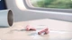 Навушники Anker SoundCore Liberty 4 NC Pastel Pink (A3947G51) [94016] - зображення 4