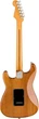Электрогитара Fender American Pro II Stratocaster Roaster Pine Natural - изображение 2