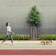 Поводок-рулетка для собак WAUDOG R-leash, круглая, XS-M, до 40 кг, 2,9 м, светоотражающая лента белый - изображение 7
