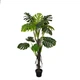 Искусственное растение Engard Monstera 165 см (DW-22) - изображение 1