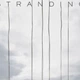 Постер Кити на березі, Death Stranding, A3 42×30 см (id2605) - зображення 2