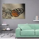 Постер Метелик Heliconius hecale на камені, A1 60×90 см (id4585) - зображення 8