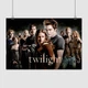 Постер Сутінки, головні персонажі, Twilight (2008), A2 41×60 см (id6866) - зображення 1