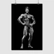 Постер Френк Зейн, бодібілдер, Frank Zane, A3 42×28 см (id6194) - зображення 1
