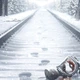Постер Метро, Metro Exodus (2019), A3 42×30 см (id1796) - изображение 2
