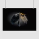 Постер Игра Престолов, Ворон-дракон, GoT, Game of Thrones, A3 28×42 см (id0865) - изображение 1