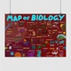 Постер Біологія, схема (англ.), Map of Biology, A3 30×42 см (id5976) - зображення 1