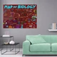 Постер Біологія, схема (англ.), Map of Biology, A3 30×42 см (id5976) - зображення 7