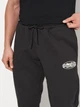 Спортивные штаны утепленные мужские Puma Essentials Graphics 68818201 S Black (4069156535428) - изображение 4