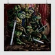 Постер Черепашки-ниндзя, Ninja Turtles, TMNT, A3 30×30 см (id6572) - изображение 1