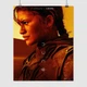Постер Дюна 2, фремен Чани, Зендея, Dune 2 (2024), A3 37×30 см (id6466) - изображение 1