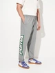 Спортивные штаны для баскетбола мужские Puma Playoff Series 63290002 S Medium Gray Heather (4069157818407) - изображение 1