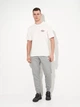 Спортивные штаны мужские утепленные Puma Essentials Graphics 68471303 L Medium Gray Heather (4067983631498) - изображение 3