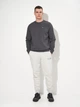 Спортивные штаны мужские утепленные Puma Essentials Graphics 68818704 XL Light Gray Heather (4069156536098) - изображение 3
