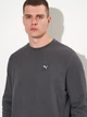 Свитшот на флисе мужской Puma Essentials Elevated 68825744 2XL Dusky Gray (4069157695961) - изображение 4