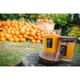 Свеча Vellutier Spicy pumpkin soufflé (Пряное тыквенное суфле) 225 г (M) К.V62035 - изображение 3