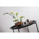 Свеча Vellutier Japan Garden (Японский сад) 90 г (S) К.V63030 - изображение 3