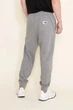 Штаны The North Face Nsw Club Grey NF0A7WXI-I0D M - изображение 2