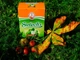 Чай Йерба Мате Selecta Зелёное яблоко (Manzana Verde) 500 г К582/500 - изображение 2