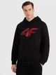 Худи мужское 4F 4FWMM00TSWSM1766-020S S Черное (5905700401162) - изображение 1