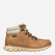 Жіночі зимові черевики Skechers Synergy Cool Seeker 167425-CSNT 35 Коричневі (196642116473) - зображення 1