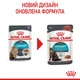 Royal Canin 3+1 Royal Canin Urinary Care Вага: 0.085 кг | Консервований корм для котів Урінарі (0273571000360) (11695) - зображення 6