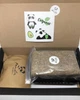 Набір для вирощування мікрозелені Panda microgreen Black на 10 врожаїв - зображення 2