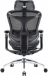 Крісло офісне SIHOO DORO C300 Pro Mesh Black (DORO-C300-PRO-M101) - зображення 2