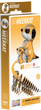 Model 3D do składania Eugy Zoo Surykatka (9421035150446) - obraz 4
