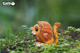 Model 3D do składania Eugy Zoo Lew (9421035150637) - obraz 5