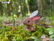 Model 3D do składania Eugy Zoo Królik (9421035150644) - obraz 9