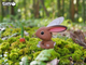 Model 3D do składania Eugy Zoo Królik (9421035150644) - obraz 10