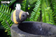Model 3D do składania Eugy Zoo Trzmiel (9421035150767) - obraz 8