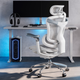 Fotel biurowy SIHOO DORO C300 Pro Mesh White (DORO-C300-PRO-M102) - obraz 6