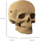 3D пазл-конструктор Cartonic 3D Puzzle Skull Картонний (4820191132948) - зображення 6