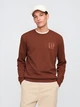 Свитшот на флисе мужской GAP 382493909 L Коричневый (1159844518) - изображение 1