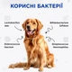 Пробиотик Modes Kombiflor Probiotic Порошок для поддержания микрофлоры кишечника собак и кошек 15шт*2г - изображение 5