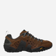 Buty trekkingowe męskie Merrell Intercept J598633 46.5 (11.5UK) 30 cm Brązowe (884547985620) - obraz 1