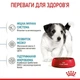 Сухой корм Royal Canin MINI PUPPY для щенков мелких пород 8 кг - изображение 4